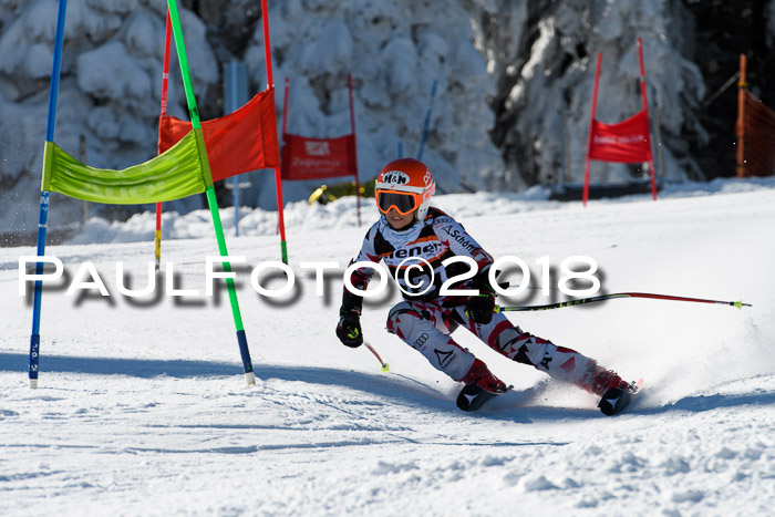 Ziener Cup WF, Finale, Quali + Parallelslalom, 24.03.2018
