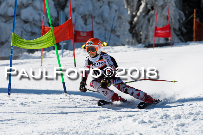 Ziener Cup WF, Finale, Quali + Parallelslalom, 24.03.2018