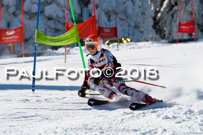 Ziener Cup WF, Finale, Quali + Parallelslalom, 24.03.2018