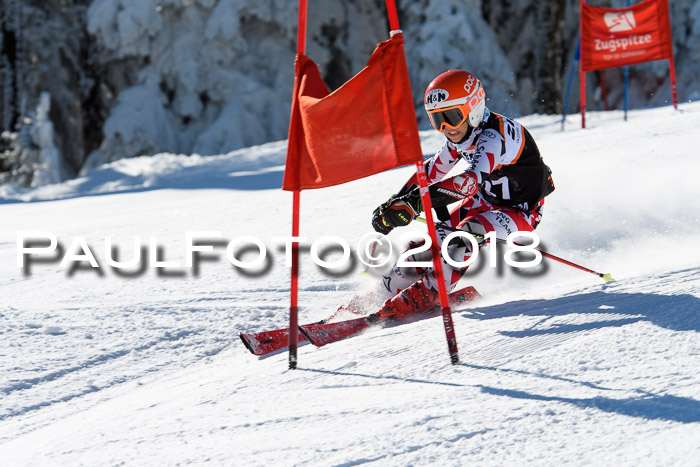 Ziener Cup WF, Finale, Quali + Parallelslalom, 24.03.2018