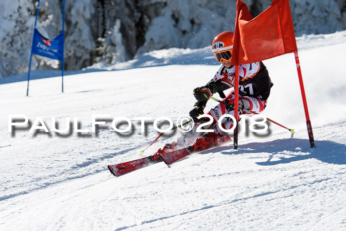 Ziener Cup WF, Finale, Quali + Parallelslalom, 24.03.2018
