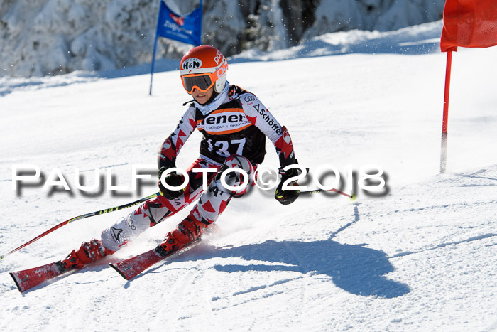 Ziener Cup WF, Finale, Quali + Parallelslalom, 24.03.2018