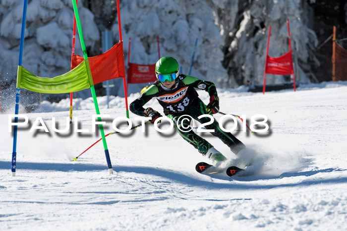 Ziener Cup WF, Finale, Quali + Parallelslalom, 24.03.2018
