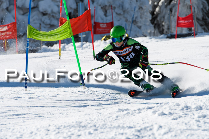Ziener Cup WF, Finale, Quali + Parallelslalom, 24.03.2018