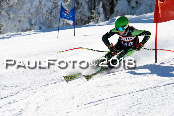 Ziener Cup WF, Finale, Quali + Parallelslalom, 24.03.2018