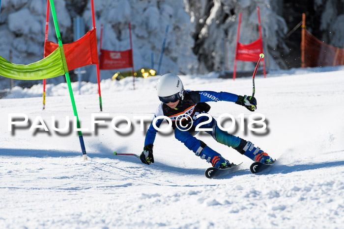 Ziener Cup WF, Finale, Quali + Parallelslalom, 24.03.2018