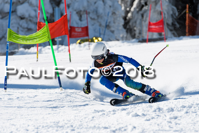 Ziener Cup WF, Finale, Quali + Parallelslalom, 24.03.2018