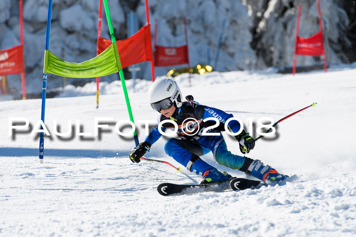 Ziener Cup WF, Finale, Quali + Parallelslalom, 24.03.2018