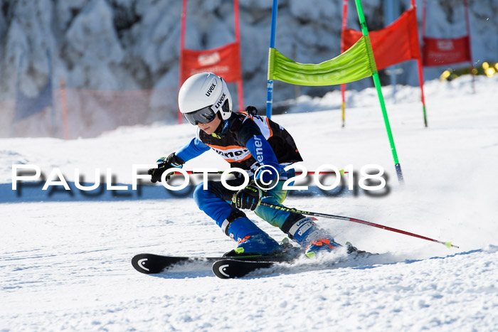 Ziener Cup WF, Finale, Quali + Parallelslalom, 24.03.2018