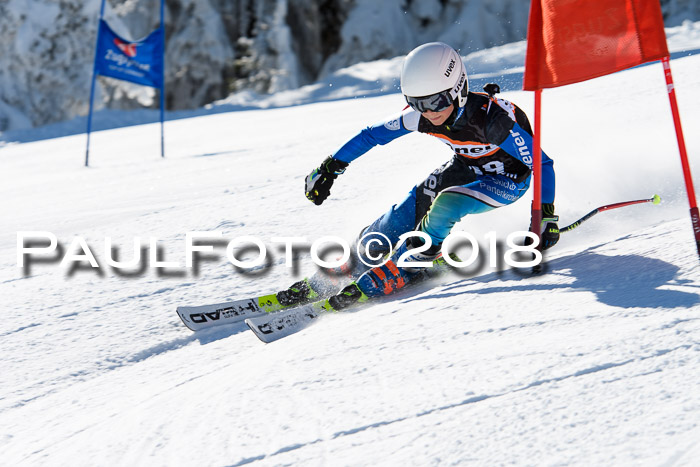 Ziener Cup WF, Finale, Quali + Parallelslalom, 24.03.2018