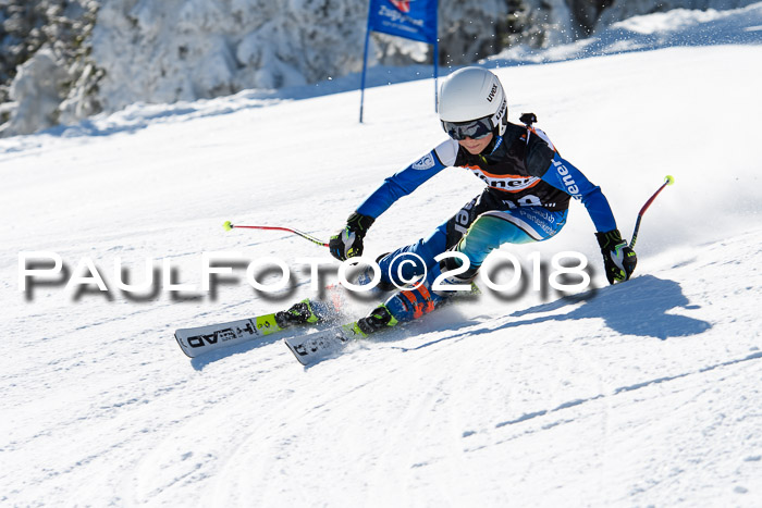 Ziener Cup WF, Finale, Quali + Parallelslalom, 24.03.2018
