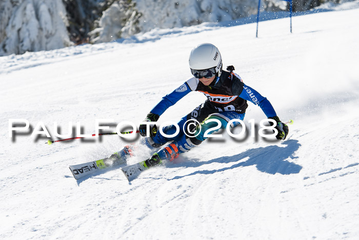 Ziener Cup WF, Finale, Quali + Parallelslalom, 24.03.2018