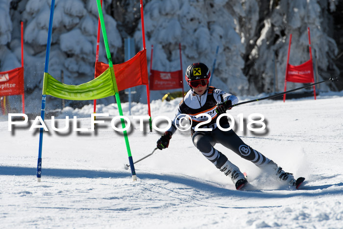 Ziener Cup WF, Finale, Quali + Parallelslalom, 24.03.2018