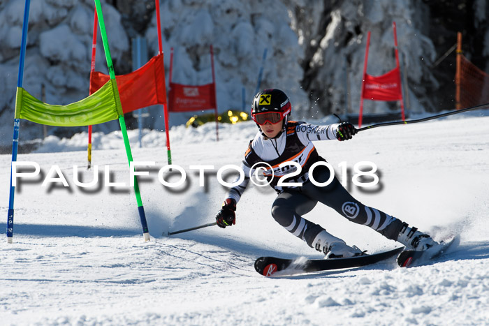 Ziener Cup WF, Finale, Quali + Parallelslalom, 24.03.2018