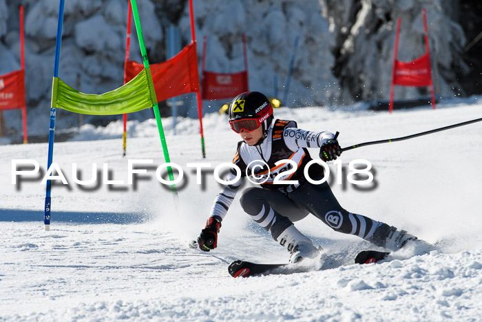 Ziener Cup WF, Finale, Quali + Parallelslalom, 24.03.2018