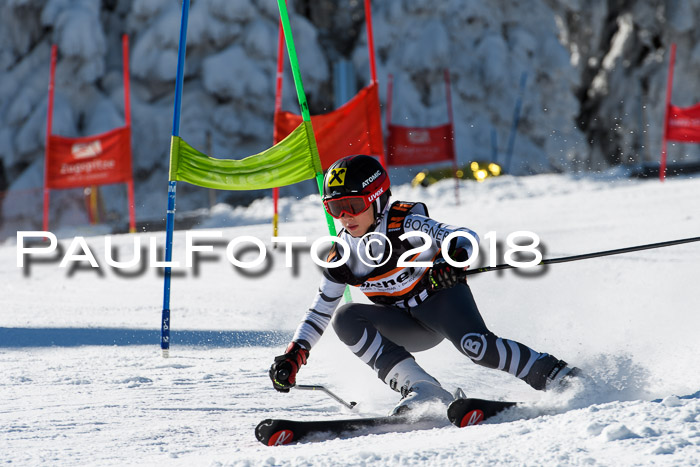 Ziener Cup WF, Finale, Quali + Parallelslalom, 24.03.2018