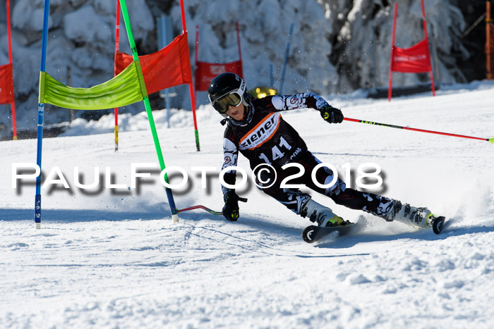 Ziener Cup WF, Finale, Quali + Parallelslalom, 24.03.2018