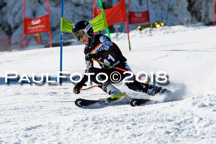 Ziener Cup WF, Finale, Quali + Parallelslalom, 24.03.2018
