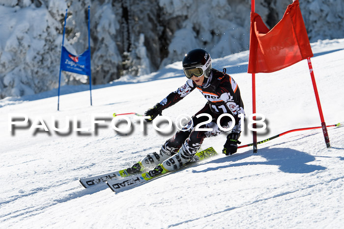 Ziener Cup WF, Finale, Quali + Parallelslalom, 24.03.2018