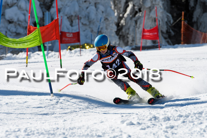 Ziener Cup WF, Finale, Quali + Parallelslalom, 24.03.2018