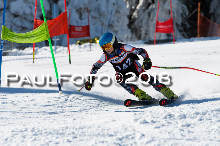 Ziener Cup WF, Finale, Quali + Parallelslalom, 24.03.2018