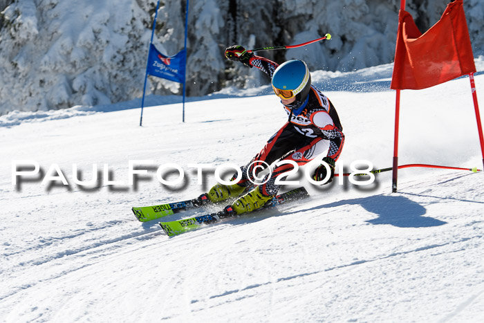 Ziener Cup WF, Finale, Quali + Parallelslalom, 24.03.2018