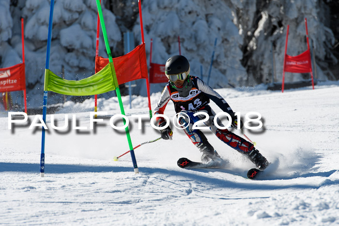 Ziener Cup WF, Finale, Quali + Parallelslalom, 24.03.2018