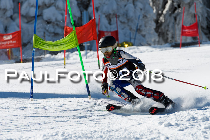 Ziener Cup WF, Finale, Quali + Parallelslalom, 24.03.2018