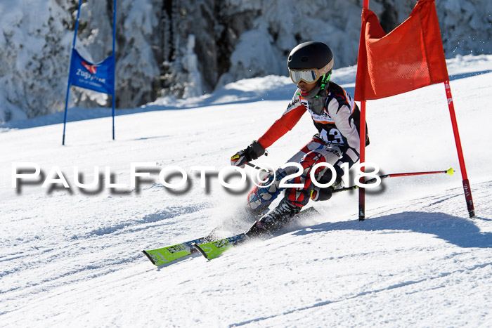 Ziener Cup WF, Finale, Quali + Parallelslalom, 24.03.2018