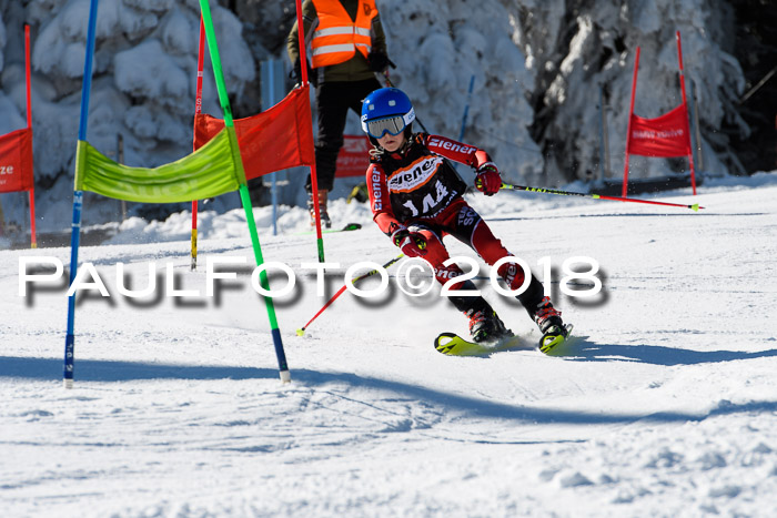 Ziener Cup WF, Finale, Quali + Parallelslalom, 24.03.2018