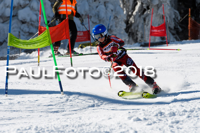 Ziener Cup WF, Finale, Quali + Parallelslalom, 24.03.2018