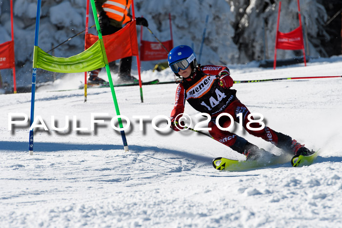 Ziener Cup WF, Finale, Quali + Parallelslalom, 24.03.2018
