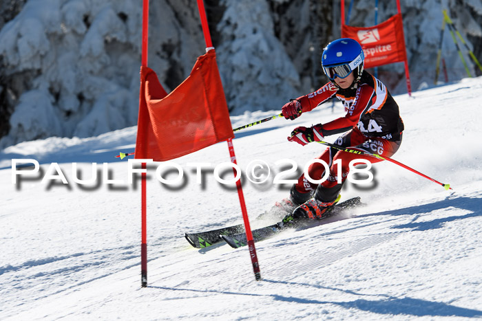 Ziener Cup WF, Finale, Quali + Parallelslalom, 24.03.2018