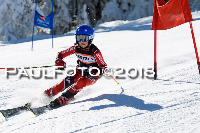 Ziener Cup WF, Finale, Quali + Parallelslalom, 24.03.2018