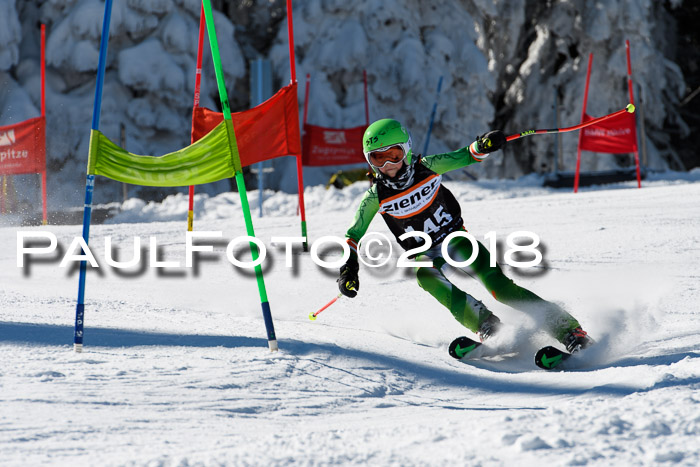 Ziener Cup WF, Finale, Quali + Parallelslalom, 24.03.2018