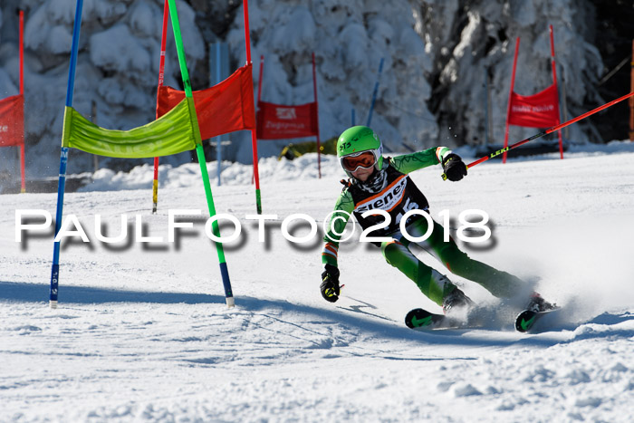Ziener Cup WF, Finale, Quali + Parallelslalom, 24.03.2018