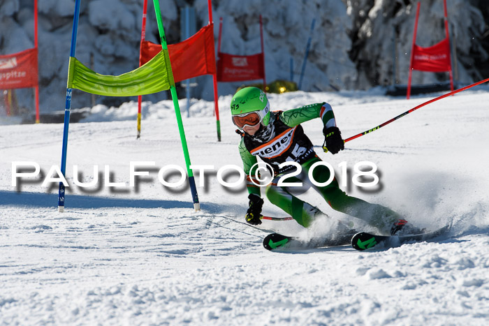 Ziener Cup WF, Finale, Quali + Parallelslalom, 24.03.2018