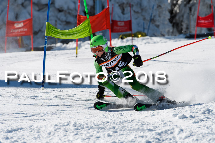 Ziener Cup WF, Finale, Quali + Parallelslalom, 24.03.2018
