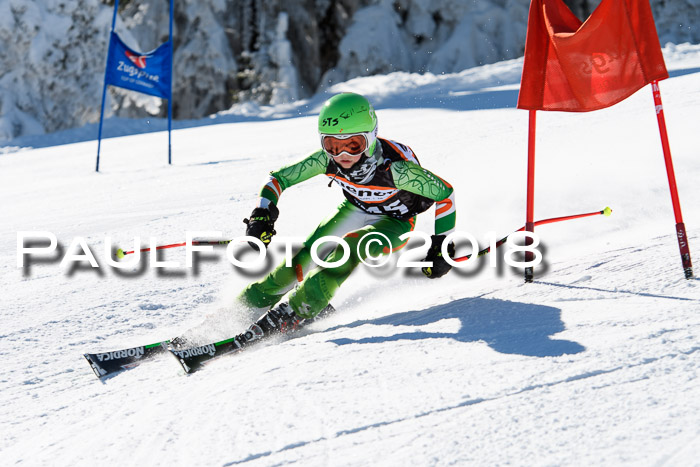 Ziener Cup WF, Finale, Quali + Parallelslalom, 24.03.2018