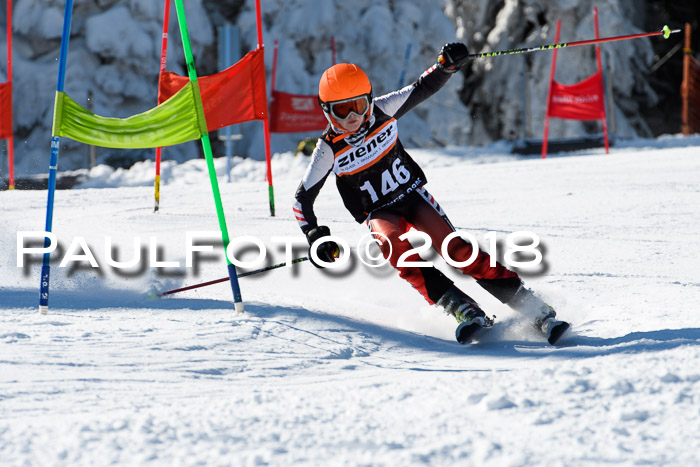Ziener Cup WF, Finale, Quali + Parallelslalom, 24.03.2018