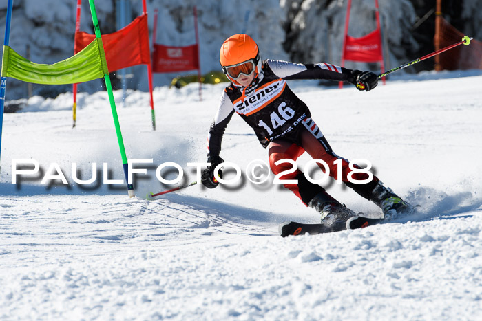 Ziener Cup WF, Finale, Quali + Parallelslalom, 24.03.2018