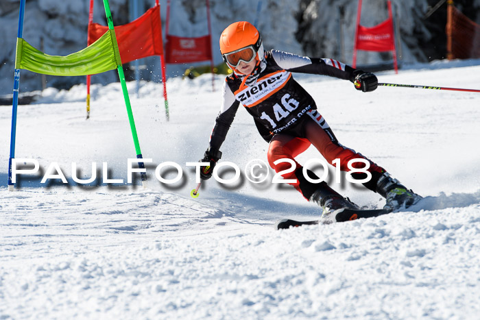 Ziener Cup WF, Finale, Quali + Parallelslalom, 24.03.2018