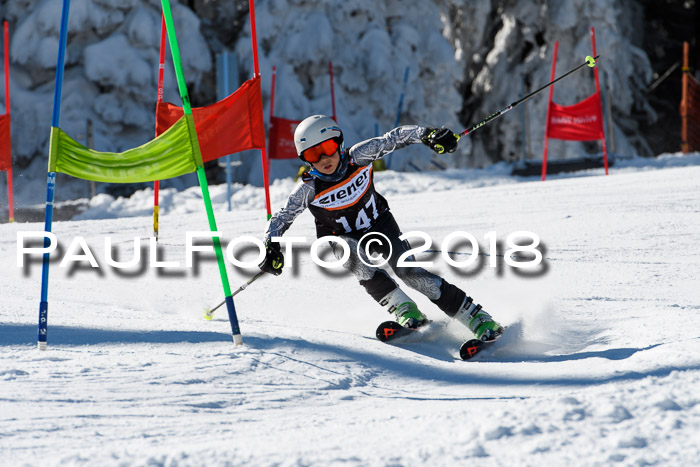 Ziener Cup WF, Finale, Quali + Parallelslalom, 24.03.2018