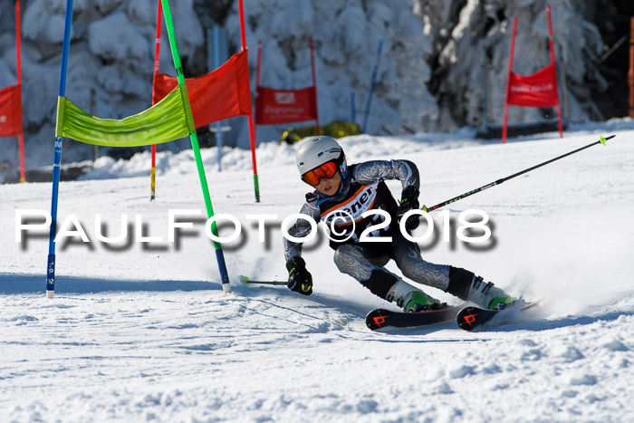 Ziener Cup WF, Finale, Quali + Parallelslalom, 24.03.2018
