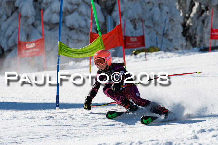 Ziener Cup WF, Finale, Quali + Parallelslalom, 24.03.2018