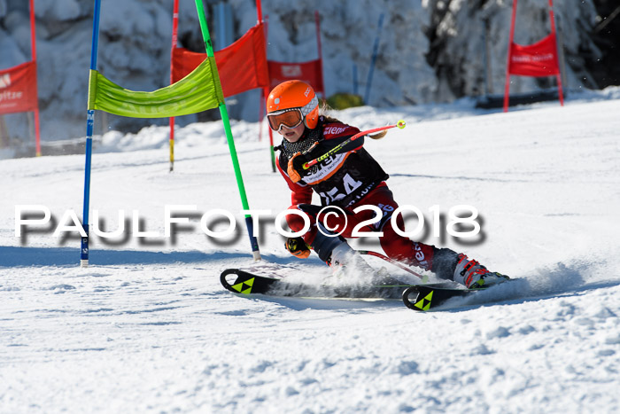 Ziener Cup WF, Finale, Quali + Parallelslalom, 24.03.2018