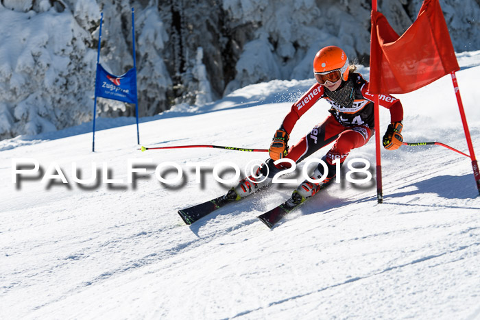 Ziener Cup WF, Finale, Quali + Parallelslalom, 24.03.2018