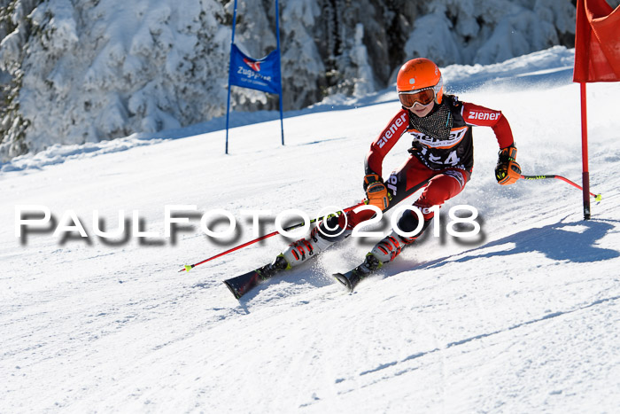 Ziener Cup WF, Finale, Quali + Parallelslalom, 24.03.2018