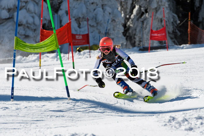 Ziener Cup WF, Finale, Quali + Parallelslalom, 24.03.2018