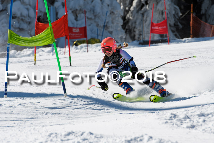 Ziener Cup WF, Finale, Quali + Parallelslalom, 24.03.2018